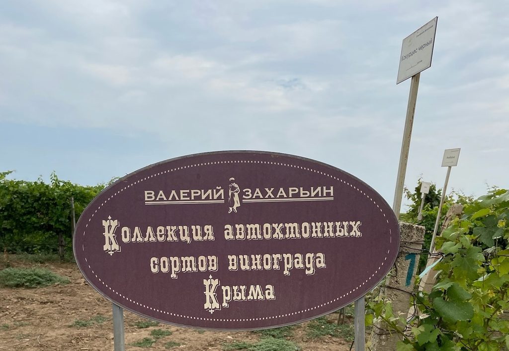 Осень в Крыму: где попробовать вино и сделать лучшие фото на виноградниках